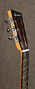 Guitares Boucher